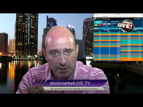 Vieira Reveals Elon's Musk Tesla Motors Secret Masterplan