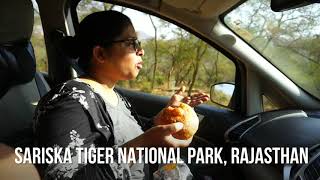 preview picture of video 'Sariska Tiger National Park'