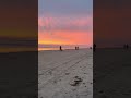 Summer Sunsets With My Dog Are The Best