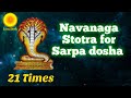 Navanaga Stotra for Sarpa dosha Nagadosha| kalasarpa dosha nivarana mantra.Anantham Vasukim 21 times