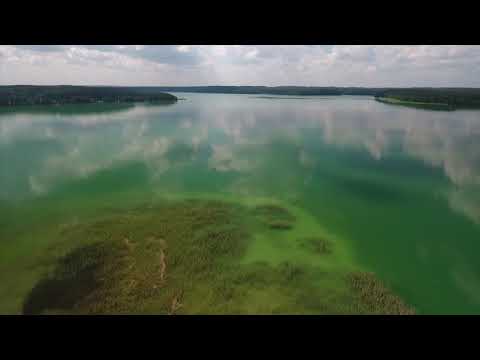 Pluski nad jeziorem Pluszne