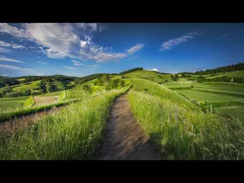 Thể hiện bởi Hương Thủy