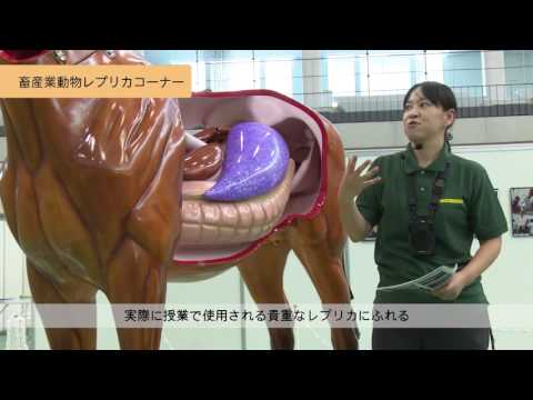 麻布大学 オープンキャンパス2016