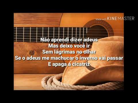 Leandro & Leonardo - Não aprendi dizer adeus  Letras