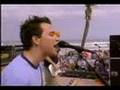 03 Blink 182 What S My Age Again Live At Daytona Beach