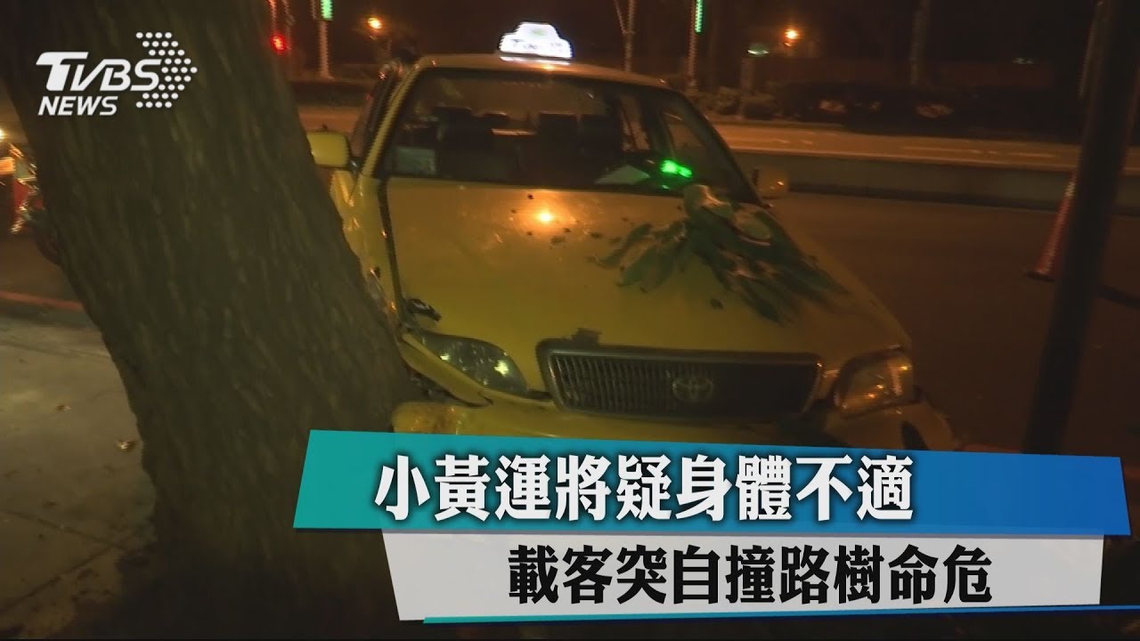 疑身體不適! 運將載客突自撞路樹命危