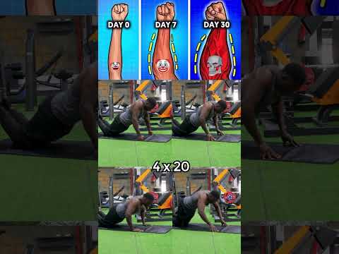 Best Forearm Workout at Home