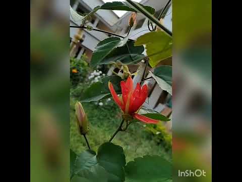 മിഴിയോരം....💕💕💕