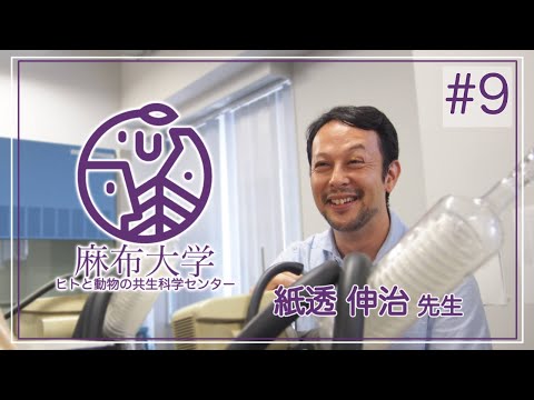 新興ウイルス感染症に対抗する広域スペクトル抗ウイルス剤開発を目指した基礎的研究