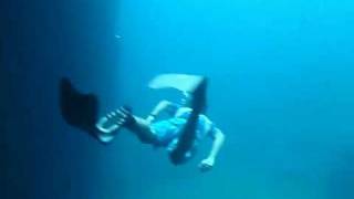Free-diving on Galapagos