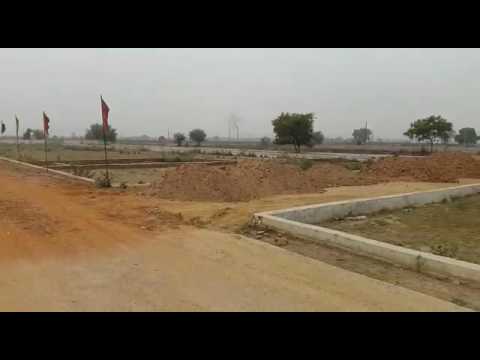 Royal City Project Tour 1