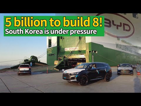 Recently, BYD acquired a roll-on/roll-off ship capable of carrying 7,000 vehicles!