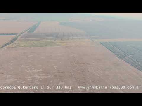 Córdoba Gutemberg al Sur 310 has Agricolas