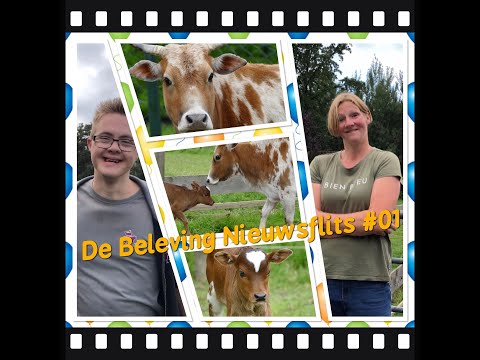 De Beleving Nieuwsflits 1 deel 1
