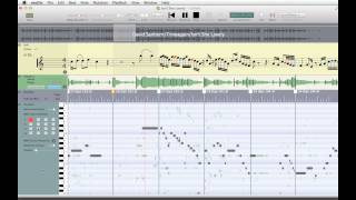 Isn't She Lovely (Transcription)