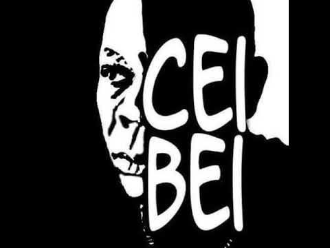 HOUZ'MON & CEI BEI  "HOUSE MUSIC WILL NEVER DIE" GHETTO ACID MIX