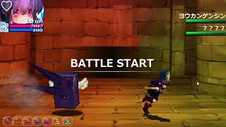 【混沌の魔窟殿2】大人しか買えない ドラクエの神官ちゃんが戦うアクション【The Den of Chaos2】Part2