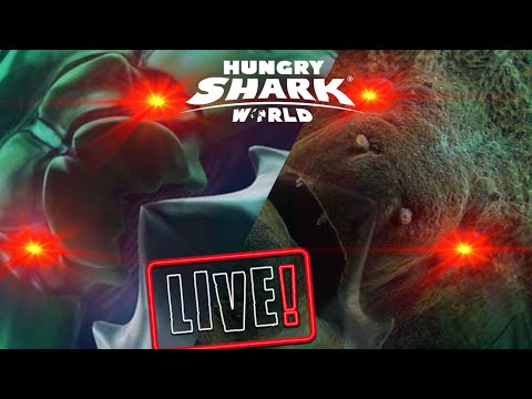 BIG MOMMA LIVE CONTESTS! - Hungry Shark World
