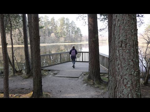 A Walk Round Loch Kinord with a visit to the Burn o' Vat