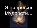Урок бабочки 