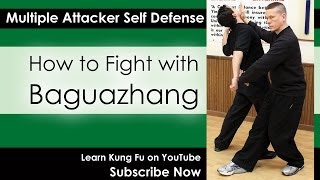 preview picture of video 'Intro to Bagua - Learn to Fight with Baguazhang'