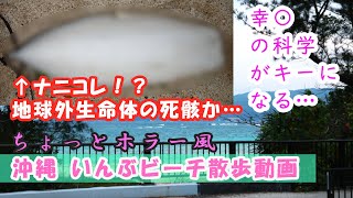 【実写】沖縄の「いんぶビーチ」に辿り着けるのか？ ちょっとホラーな早朝の暗闇FPS視点さんぽ動画【GoPro】