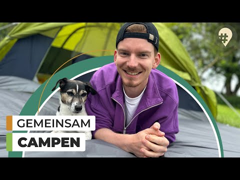 Camping mit Hund – Die 5 besten Tipps | Doku | #hinREISEND