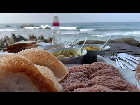 Trip to Galle |Sri Lanka |Travel to Sri Lanka |Diving | unawattuna beach |coral beach|todaysrilanka