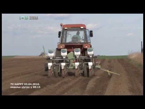 Setva kukuruza u jeku  - koje zemljisne herbicide da primenite i kako ?