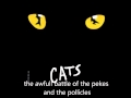 cats-the awfull battle of the pekes and the pollicles ...