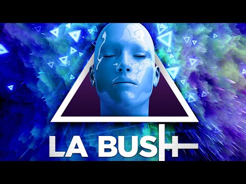 After la bush #8