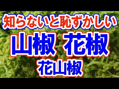 園芸 四川山椒の栽培と維持