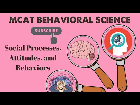 MCAT Behavioral Science: Chapter 8 - Social Processes, Attitudes, and Behaviors (1/1)