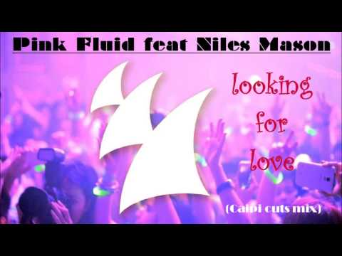 Pink Fluid feat Niles Mason - looking for love