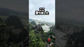 父、途中棄権しました。 #ニンビン