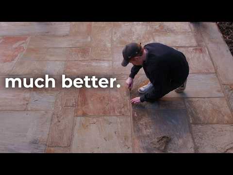 The Best Upgrade I've Added To My Garden