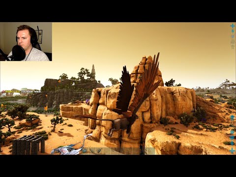 Dealing with Talon Thieves and Taming a Max Level Griffin! - Ark Crystal Isles