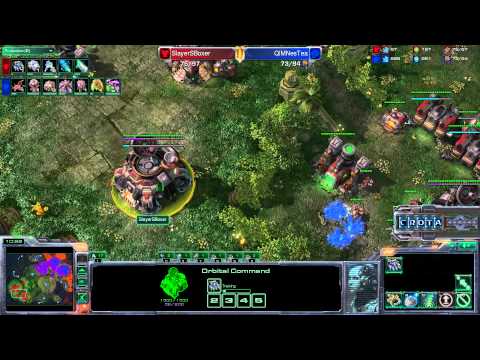 SlayersBoxer (T) vs QIMNesTea (Z) - G1 - MLG Providence 2011 - SC1127