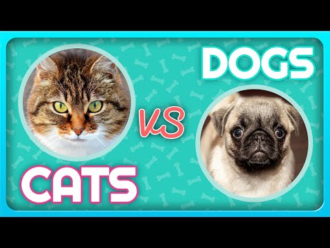 Angry Cats VS Dogs Funny Compilation 2020 !!!