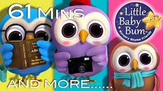 A Wise Old Owl | Plus Lots More Nursery Rhymes | 61 Minutes Compilation from LittleBabyBum!