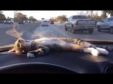 I lost myself feat Sean Sines - Armada Music YouTube video teazer