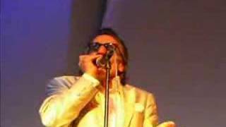 Rick Estrin - Hurry Up! - (Harp in the mouth trick)