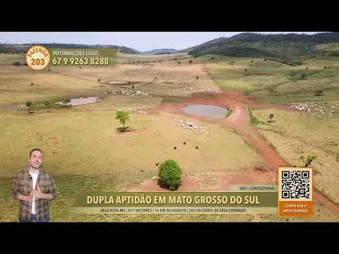 Terralmo 203: Fazenda à vista em Bela Vista/MS