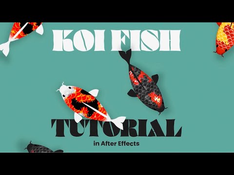 Koi Fish | After Effects Tutorial