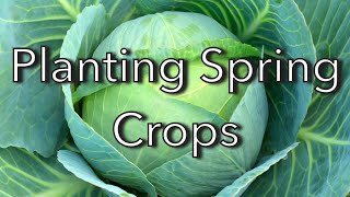 Planting Spring Crops In The New Raised Bed Garden | EverCrest