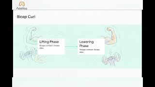 GCSE PE: Antagonistic Muscle Pairs | Agonist vs Antagonist Explained