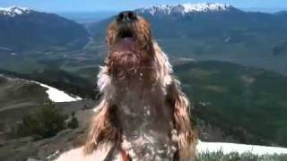 Summit celebration - Chuba has a howling good time.