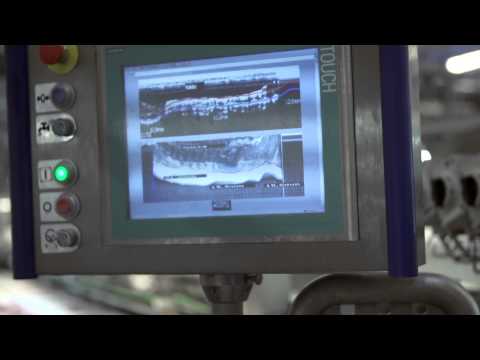 ATTEC Danmark A/S - 3D loin trimmer