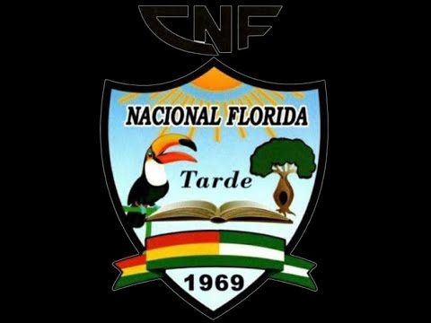 DANZA ARETE GUASU | COLEGIO NACIONAL FLORIDA - 1°B