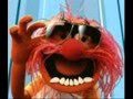 AKL Muppets Wmv